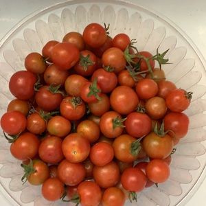 Meet your Posher, Tamara